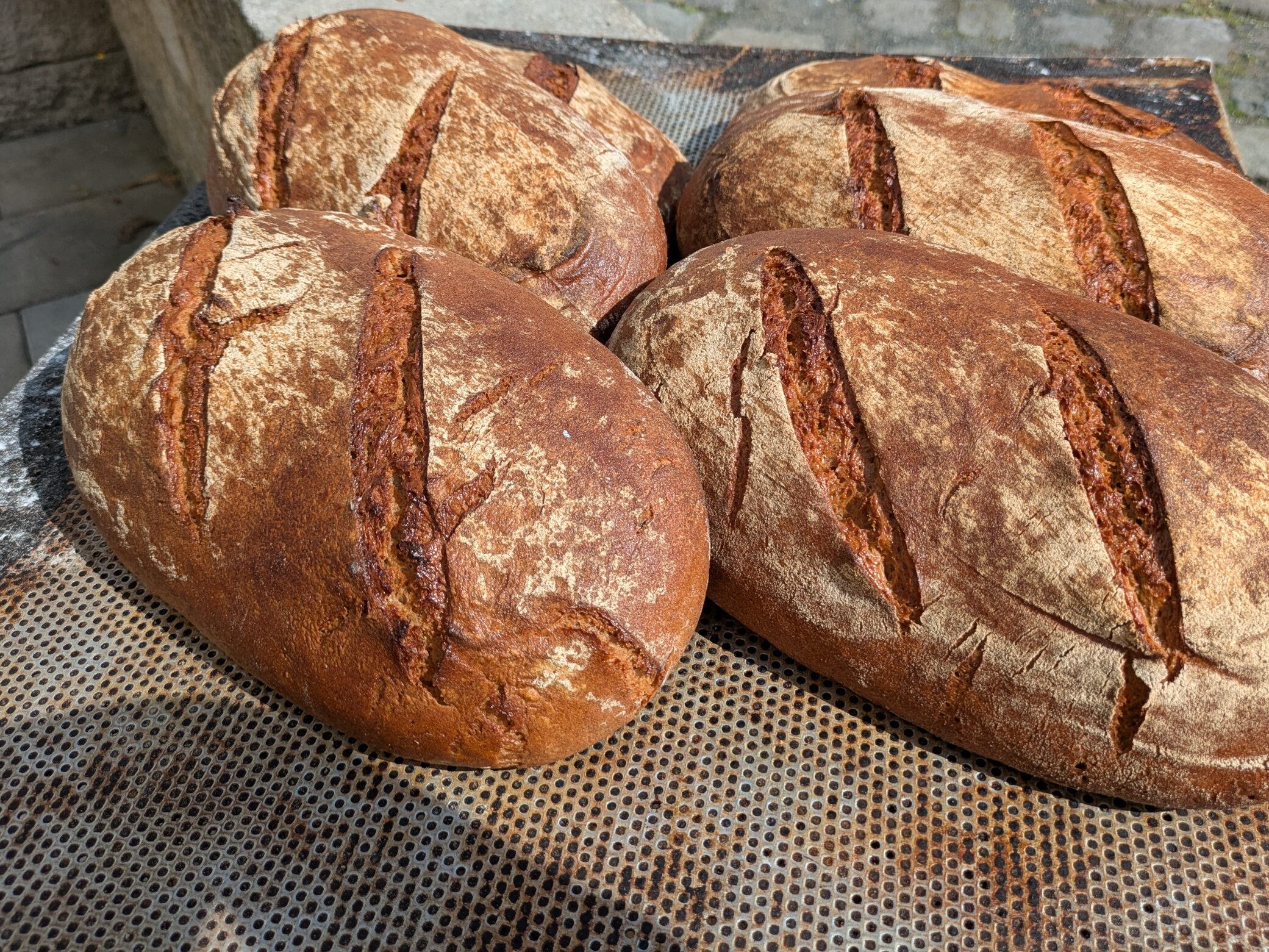 Brote aus der Backstube